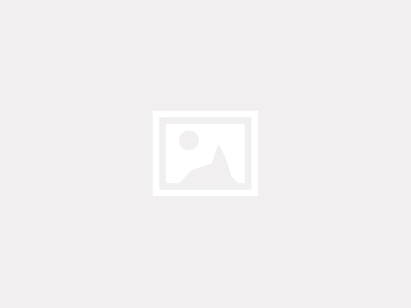 Falcon Series-Cricket
