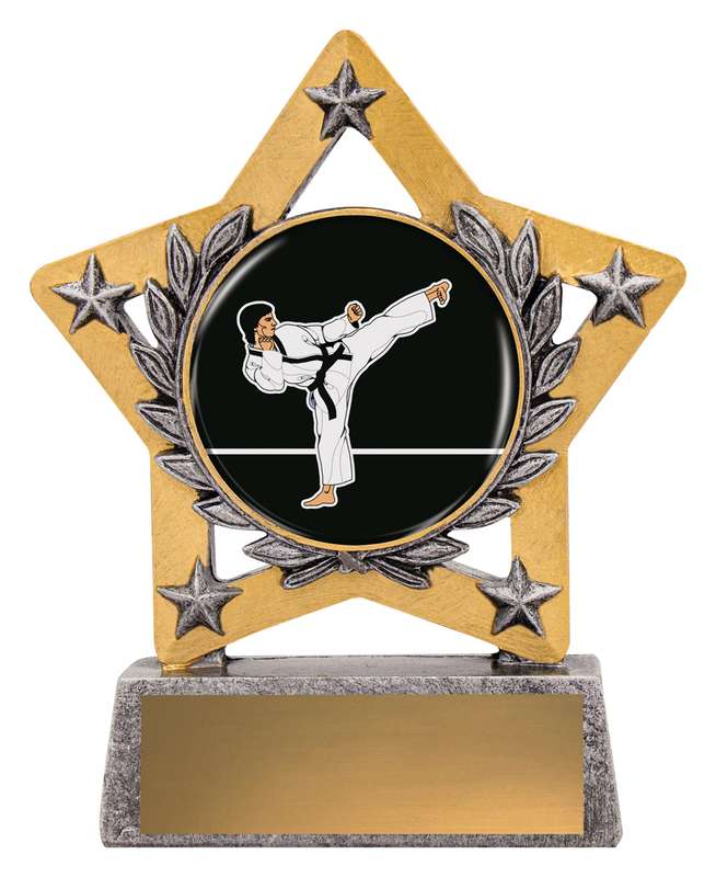 Mini Star Colour – Karate