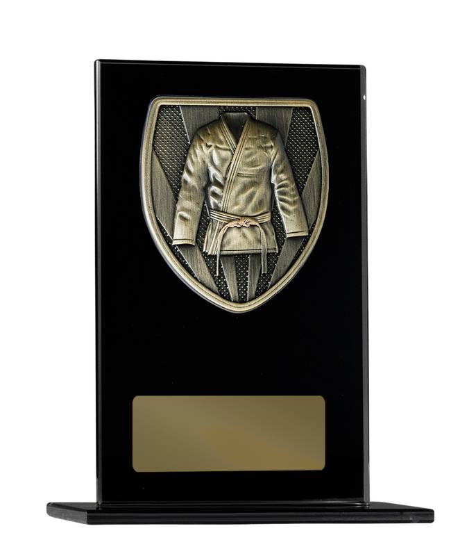 Martial Arts Glass Trophy 200mm