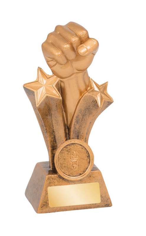 Martial Arts – Karate/Fist – 25mm Insert