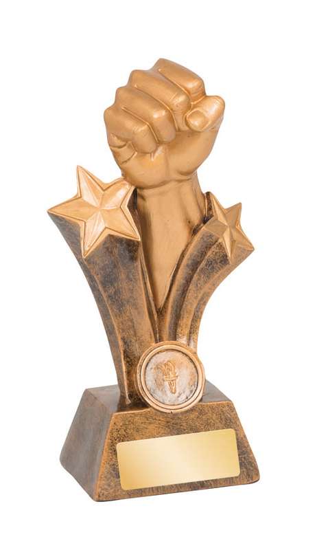 Martial Arts – Karate/Fist – 25mm Insert