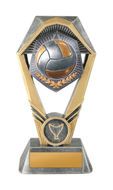 Volleyball Trophy 230mm