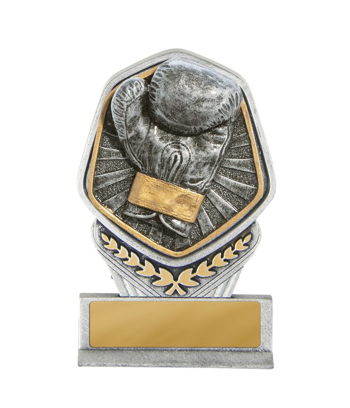 Boxing Trophy 240mm