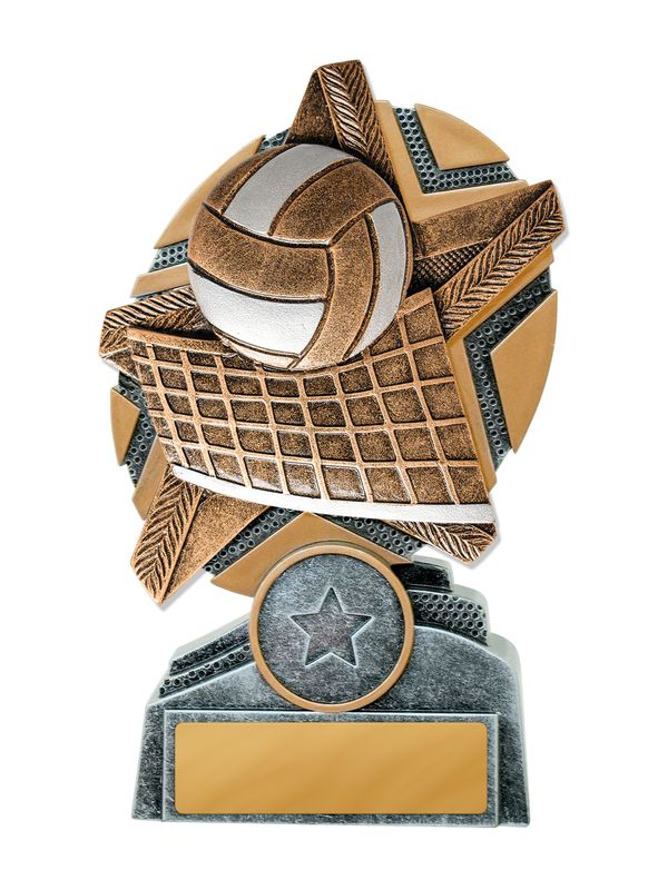 Volleyball Trophy 170mm