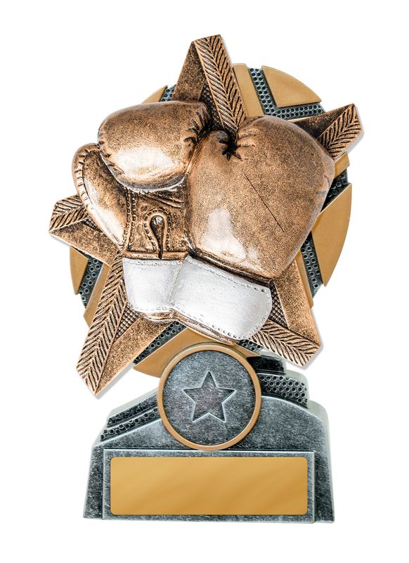 Boxing Trophy 170mm