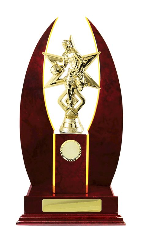 Basketball Trophy 270mm