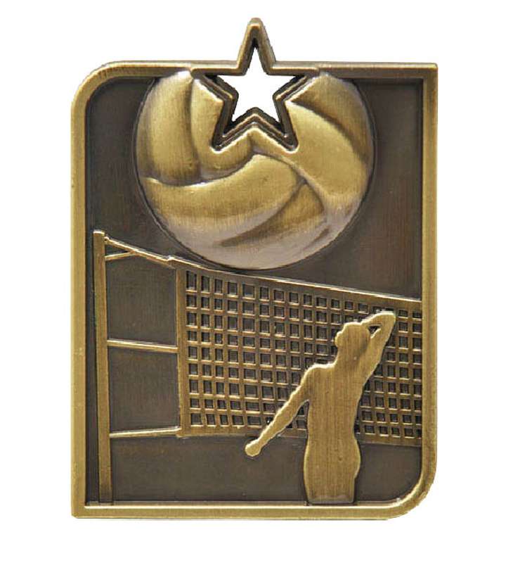 Rect. Volleyball Gold