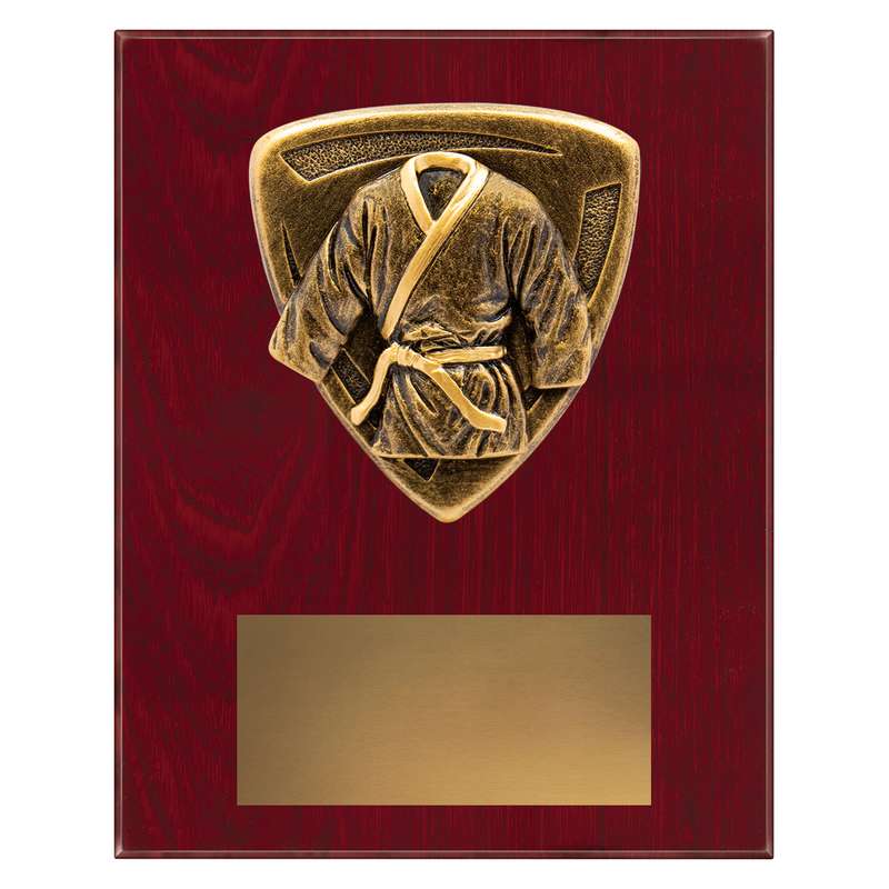 Nova Plaque – Martial Arts